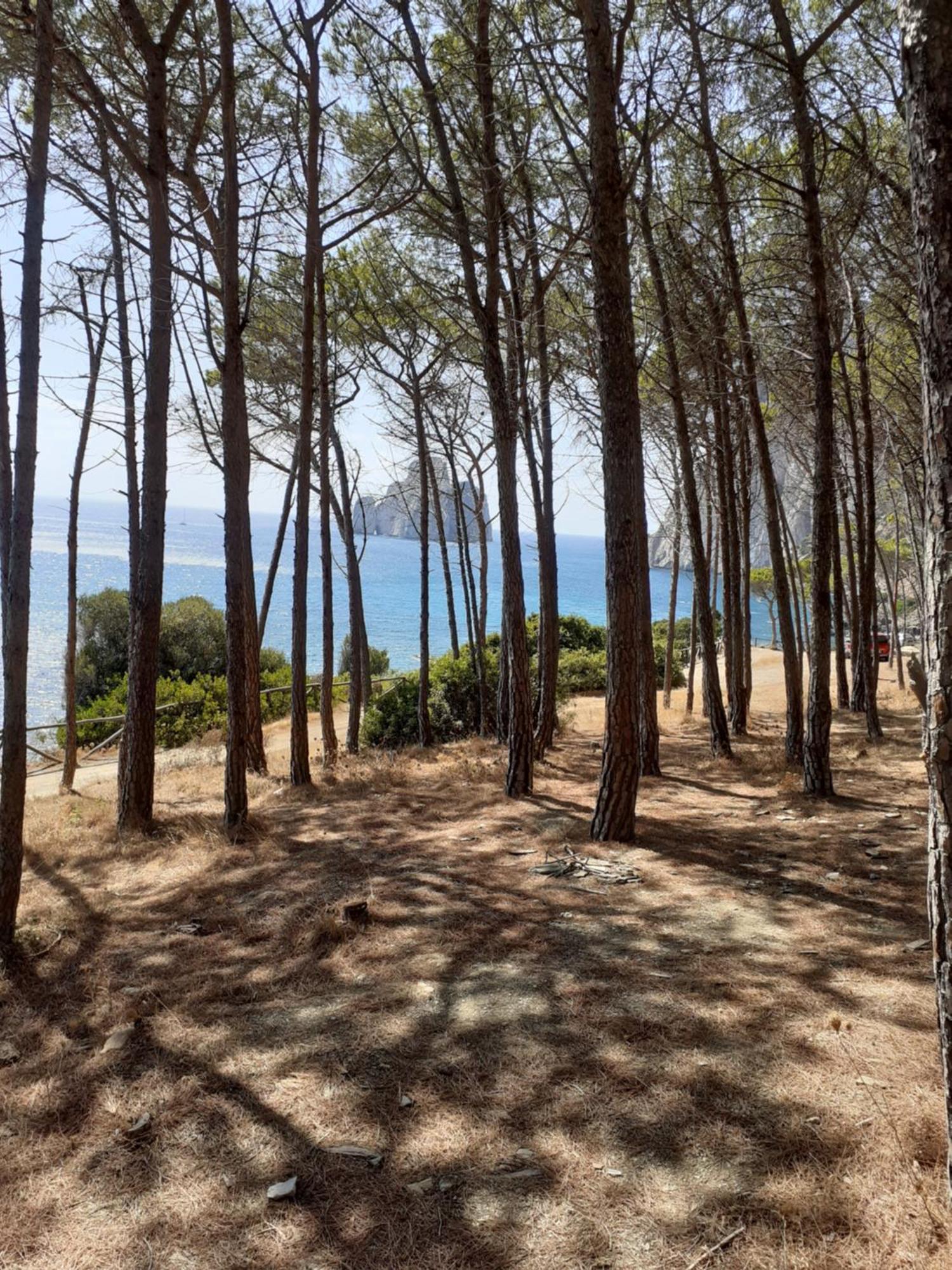 La Villa Tanca Piras Nebida Dış mekan fotoğraf